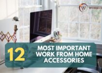 Most Important Work From Home Accessories